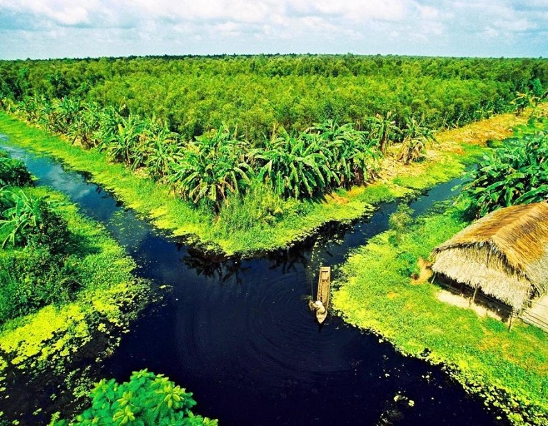 Một góc miền quê sông nước của Cà Mau