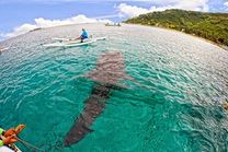 Vé máy bay Huế đi Cebu tháng 8