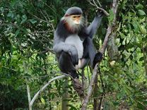 Vé máy bay Pacific Airlines Sài Gòn đi Buôn Ma Thuột