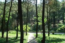 Vé máy bay Vietnam Airlines Hồ Chí Minh đi Buôn Ma Thuột