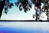 Vé máy bay Vietnam Airlines Đà Nẵng đi Buôn Ma Thuột