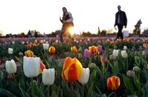 Vé máy bay Vinh đi Ý