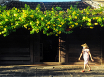 Tiết kiệm với vé máy bay Pacific Airlines Hà Nội đi Đà Nẵng khứ hồi tháng 10 giá rẻ