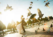 Rộn ràng săn vé máy bay Vietjet Phú Quốc đi Đà Nẵng tháng 11 giá rẻ