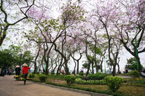 Đặt mua vé máy bay Buôn Ma Thuột đi Hà Nội VietJet Air tháng 1 khứ hồi