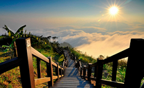 Nghỉ dưỡng tại đảo thiên đường với tấm vé máy bay Cần Thơ đi Jeju