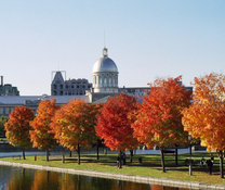 Tin tức vé máy bay Cần Thơ đi Ottawa