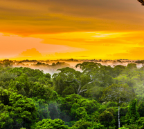 Săn vé máy bay giá rẻ Cần Thơ đi Toronto tháng 2