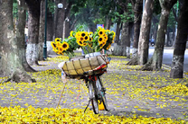 Du ngoạn tiết kiệm cùng tấm vé máy bay Chu Lai đi Hà Nội khứ hồi giá rẻ