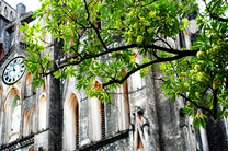 Đặt mua vé máy bay Chu Lai đi Hà Nội Vietnam Airlines khứ hồi giá rẻ