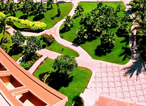 Khủng hoảng vé máy bay Đà Lạt đi Nha Trang khứ hồi