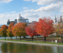 Khủng hoảng giá vé máy bay Đà Lạt đi Toronto tháng 2