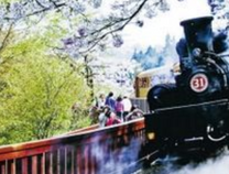 Bay tiết kiệm với vé máy bay Đà Nẵng đi Sungshan