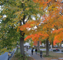 Nhộn nhịp đặt mua vé máy bay Đà Nẵng đi Vancouver