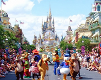 Bất ngờ với tấm vé máy bay đi Florida giá rẻ