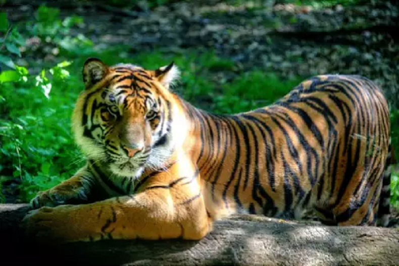 vé máy bay đi Fort Wayne 3