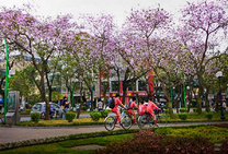 Vé máy bay Điện Biên Phủ đi Hà Nội tháng 3 khứ hồi