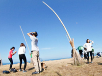 Săn tìm những tấm vé máy bay Đồng Hới đi Cao Hùng giá tốt nhất