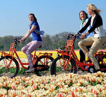 Vé máy bay Đồng Hới đi Hà Lan