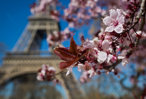 Bay lên cùng tấm vé máy bay Đồng Hới đi Paris giá rẻ