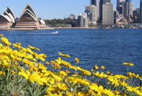 Đặt mua vé máy bay Đồng Hới đi Sydney