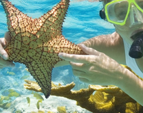 Vé máy bay Hà Nội đi Phú Quốc khứ hồi tháng 12