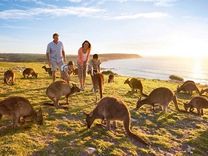 Vé máy bay Hà Nội đi Úc tháng 7