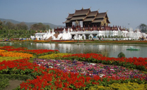 Bay cao hơn, du lịch tuyệt hơn cùng tấm vé máy bay Hải Phòng đi Chiang Mai tháng 01 khứ hồi