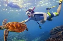 Vé máy bay Hải Phòng đi Úc