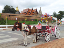 Bay cao bay xa cùng tấm vé máy bay Hồ Chí Minh đi Lampang khứ hồi