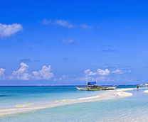 Tin tức vé máy bay Huế đi Cebu mới nhất cho mọi nhà