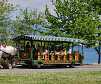 Nhanh tay đặt mua vé máy bay Huế đi Vancouver ngay nhé!