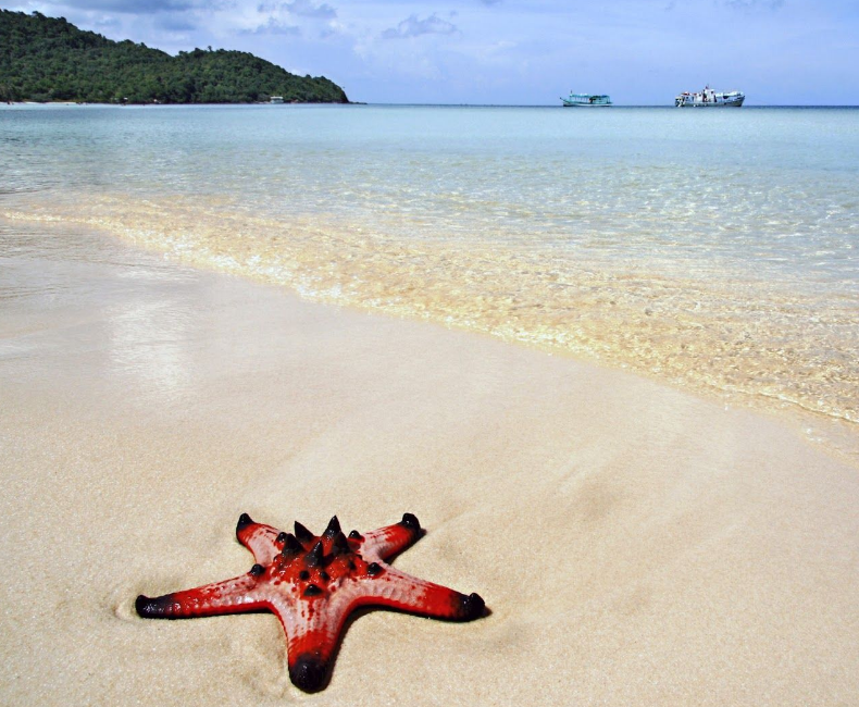 Vé máy bay Jetstar Đà Nẵng đi Phú Quốc khứ hồi 3