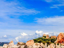 Vé máy bay Pacific Airlines Hồ Chí Minh đi Nha Trang