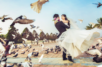 Vé máy bay Pacific Airlines Phú Quốc đi Đà Nẵng tháng 11