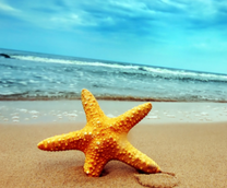 Thông tin vé máy bay Pacific Airlines Vinh đi Phú Quốc khứ hồi tháng 1