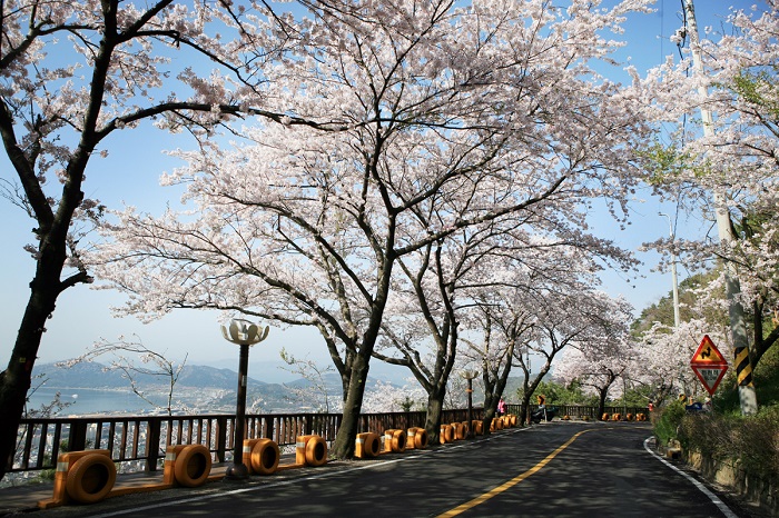 Vé máy bay khứ hồi Buôn Ma Thuật đi Hàn Quốc tháng 11 1