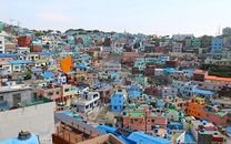 Vé máy bay khứ hồi Cà Mau đi Hàn Quốc tháng 11