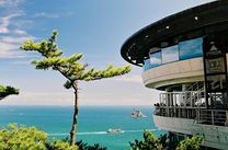 Vé máy bay khứ hồi Cần Thơ đi Busan tháng 11