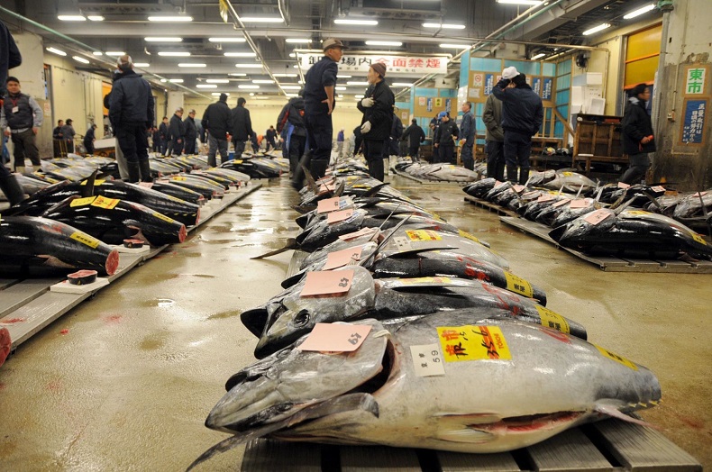 Vé máy bay khứ hồi đi Tokyo tháng 2 4