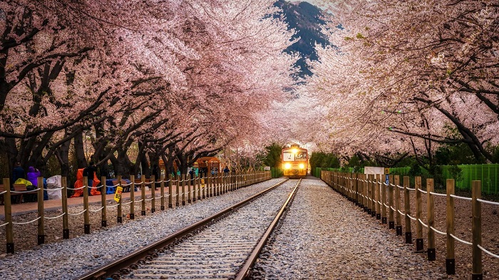 Vé máy bay khứ hồi Hà Nội đi Hàn Quốc tháng 11 2