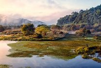 Vé máy bay khứ hồi Hồ Chí Minh đi Hàn Quốc tháng 11