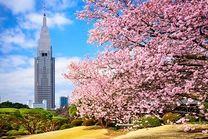Vé máy bay khứ hồi Hồ Chí Minh đi Tokyo tháng 2