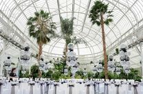 Vé máy bay Nha Trang đi Glasgow tháng 1