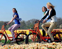 Vé máy bay Nha Trang đi Hà Lan tháng 3