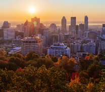 Vi vu cùng tấm vé máy bay Nha Trang đi Montreal