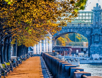 Vui hết cỡ với vé máy bay Nha Trang đi Nga tháng 12