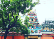 Vé máy bay Pleiku đi Sài Gòn tháng 3