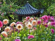 Đón chờ tấm vé máy bay Phú Quốc đi Anh