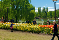 Hấp dẫn nhất năm với vé máy bay Phú Quốc đi Melbourne